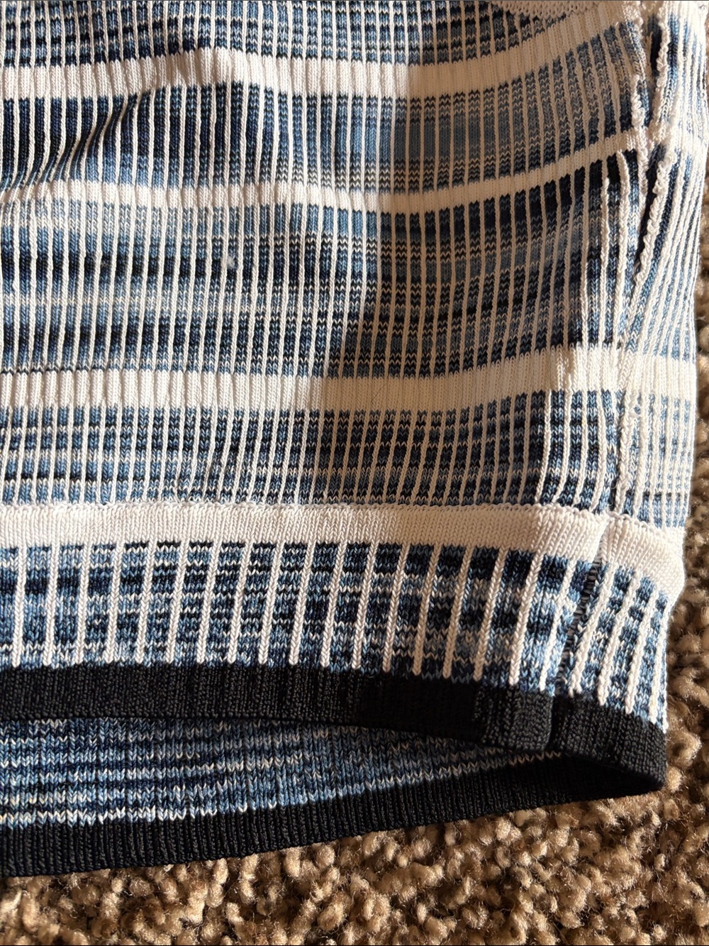Torn by Ronny Kobo Blue & White Striped Cropped Knit Tank - Picture 4 of 7